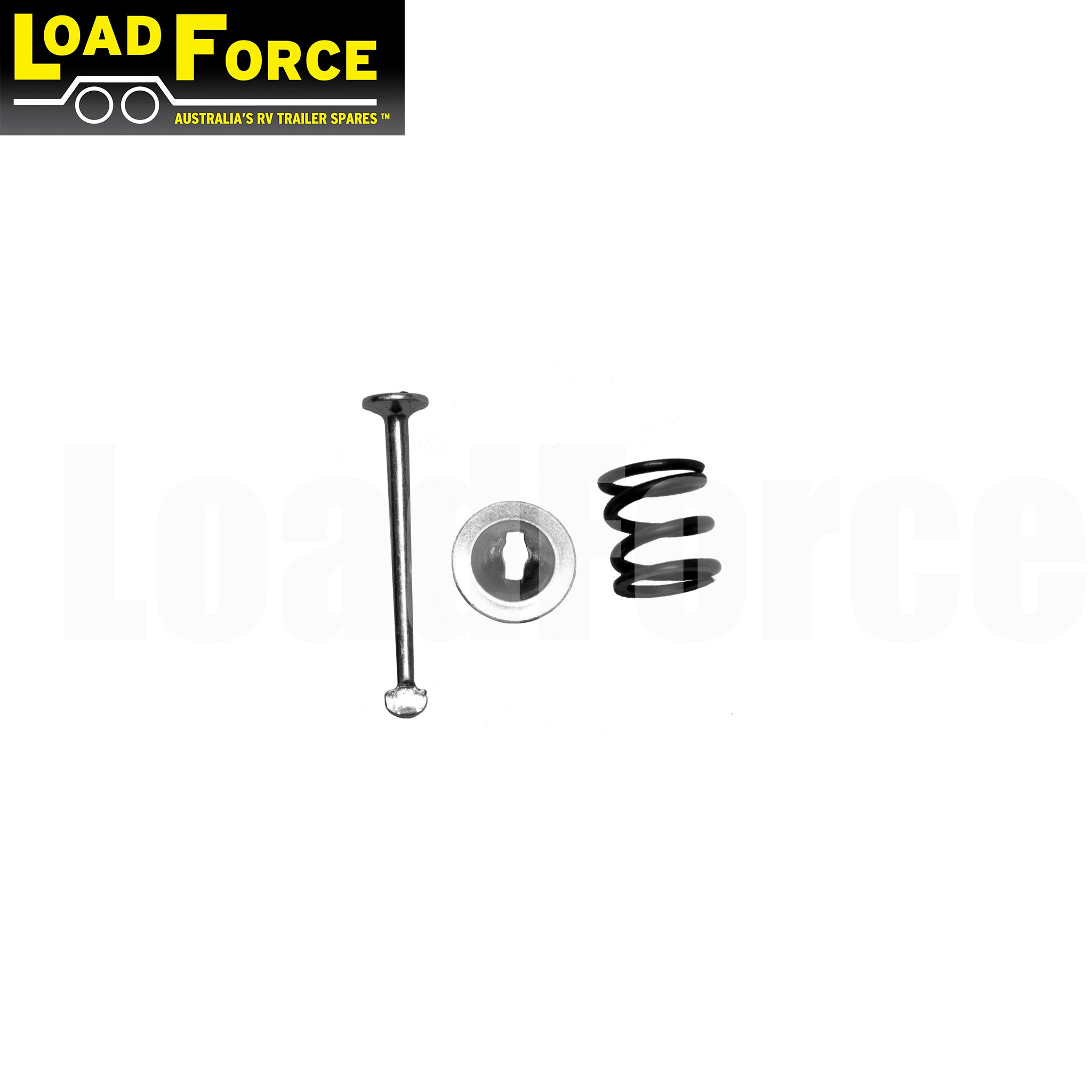 Hydraulic brake backing plate shoe pin spring